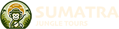 Sumatra Jungle Tours