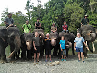 Bukit Lawang - Day Trip to Tangkahan - Image 1