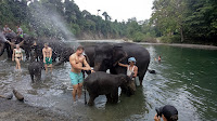 Bukit Lawang - Day Trip to Tangkahan - Image 4