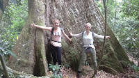 Bukit Lawang Tours - 1 Day (Medan - Bukit Lawang & Orangutans) - Image 3