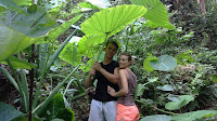 Bukit Lawang Tours - 1 Day (Medan - Bukit Lawang & Orangutans) - Image 4