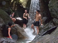 Bukit Lawang Tours - 1 Day (Medan - Bukit Lawang & Orangutans) - Image 6